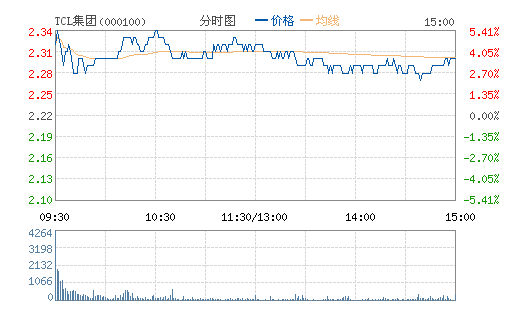 TCL(000100)