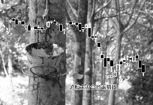 մ´ ڽά