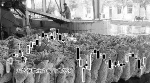 γ̽벹 𽺼۸