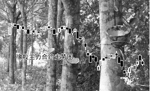 ȻҪ桰ɫ ƷڻӾ